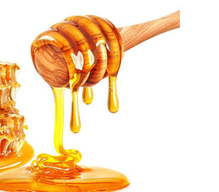 China Factory Price Hot Sale Honey Production Processing Equipment